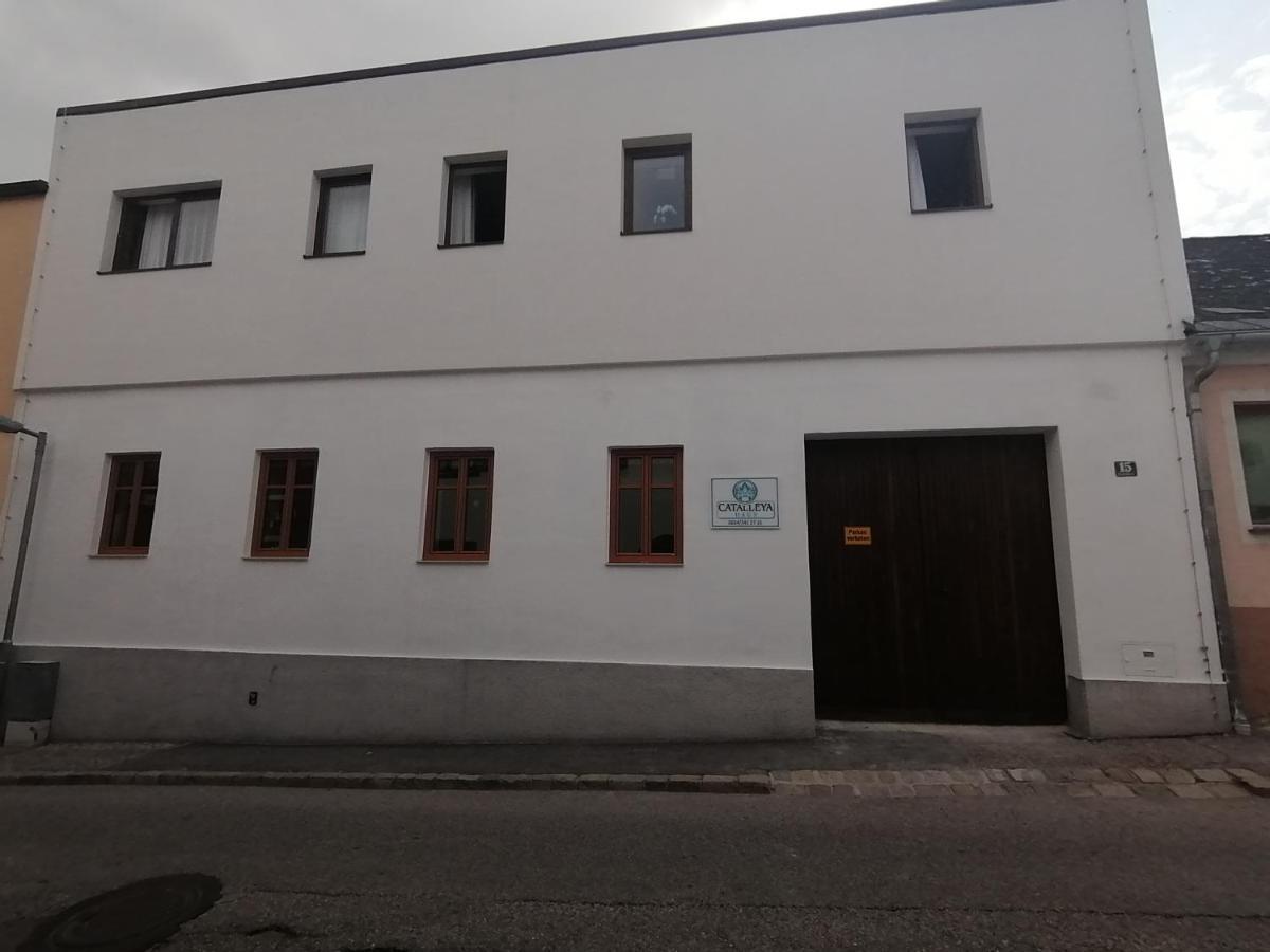 Catalleya Haus Langenlois Kültér fotó
