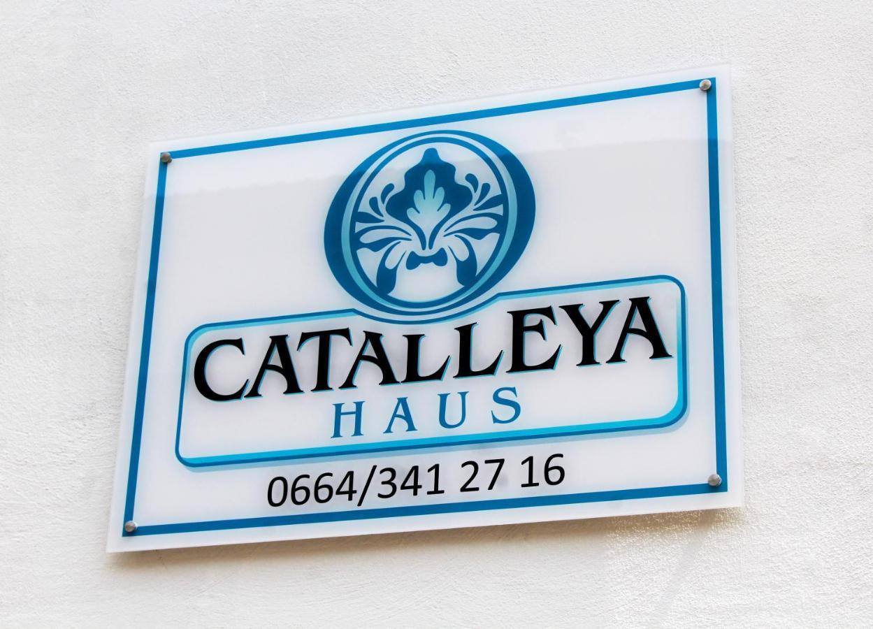Catalleya Haus Langenlois Kültér fotó
