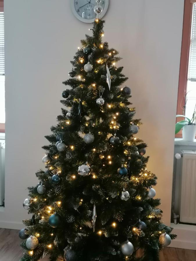 Catalleya Haus Langenlois Kültér fotó